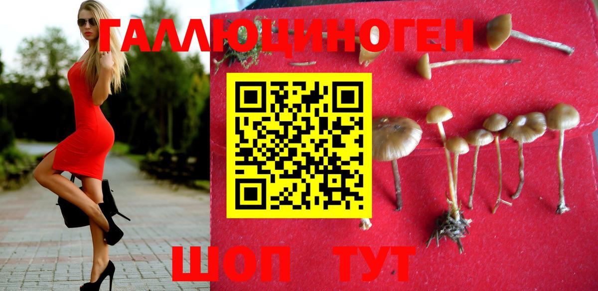 Галлюциногенные грибы мицелий  Вход с VPN  Кизилюрт  Галлюциногенные грибы Magic Shrooms 